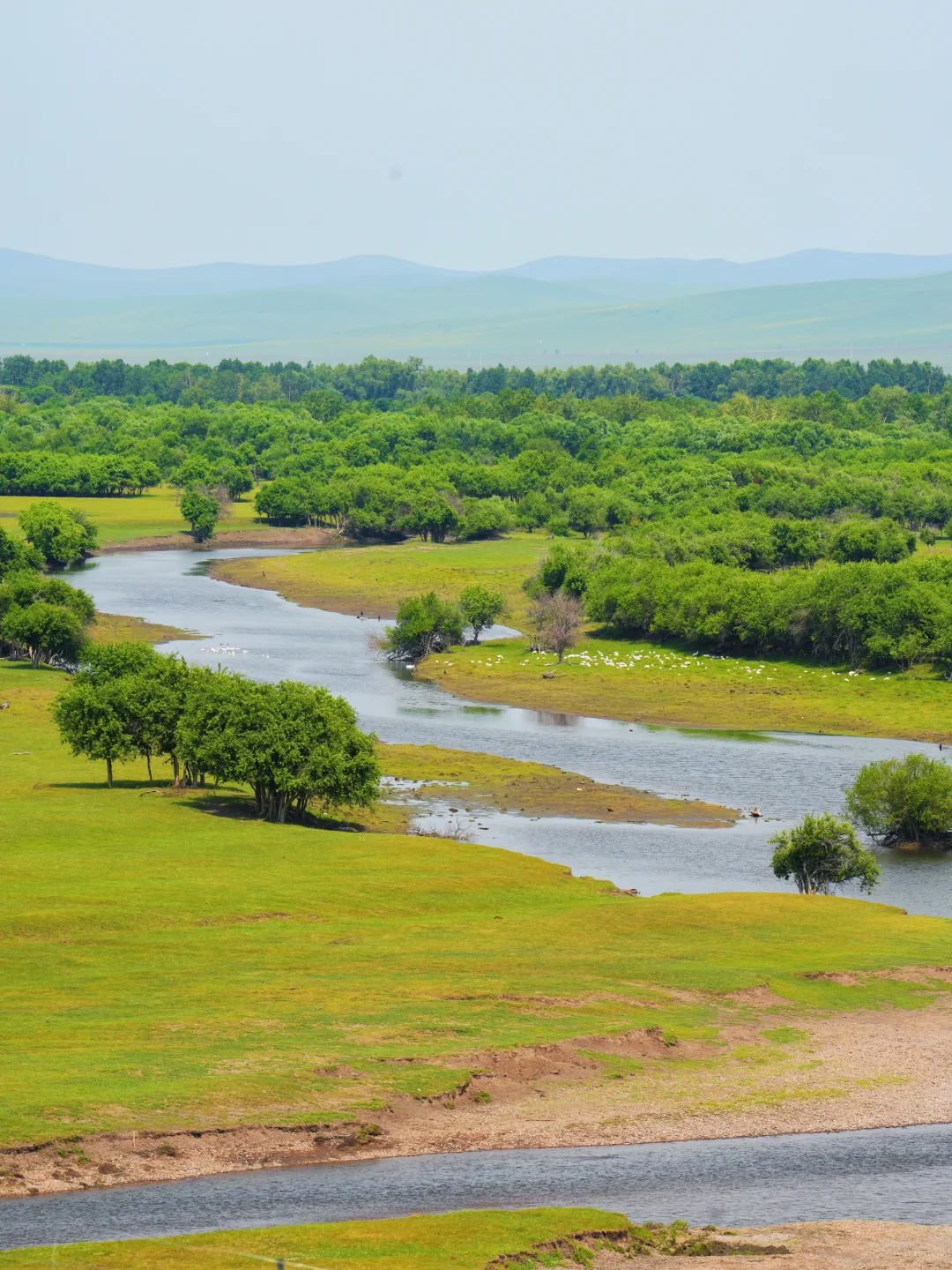 退休后的一次远行，到了梦中的草原