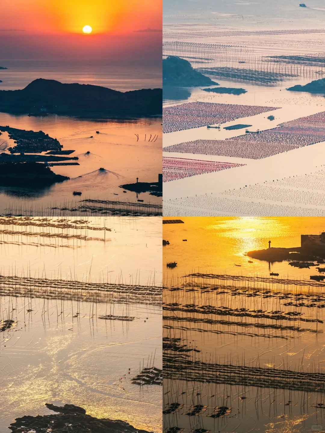 霞浦秋游｜11-12月淡季海岛才是治愈天花板❗️