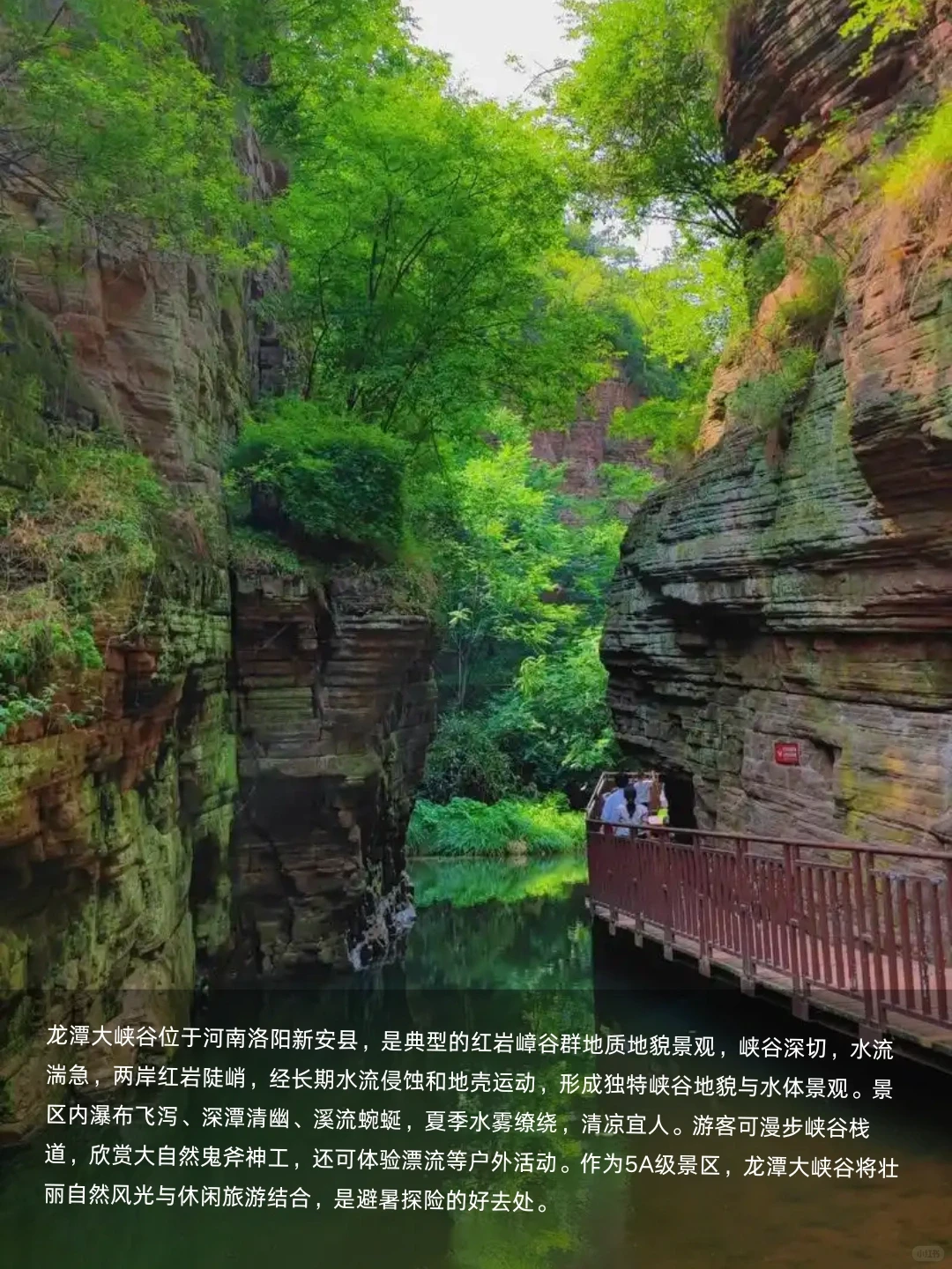 🏰穿越千年古都，洛阳必打卡的8大绝美景点✨