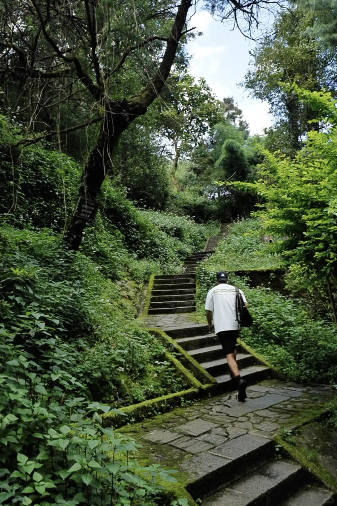 旅居大理一年，汇总出的一些好看的拍照地