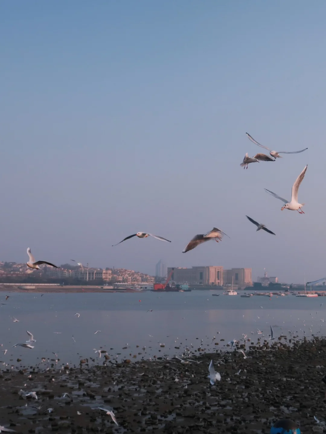 冬天一定要去一次青岛！（人均1.5k行程分享）