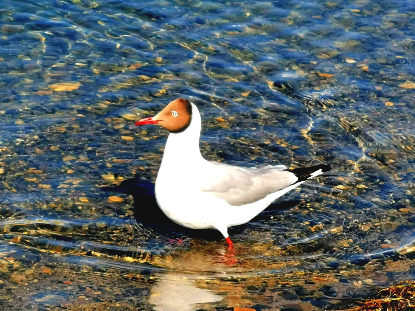 家人们去哪里旅游了！