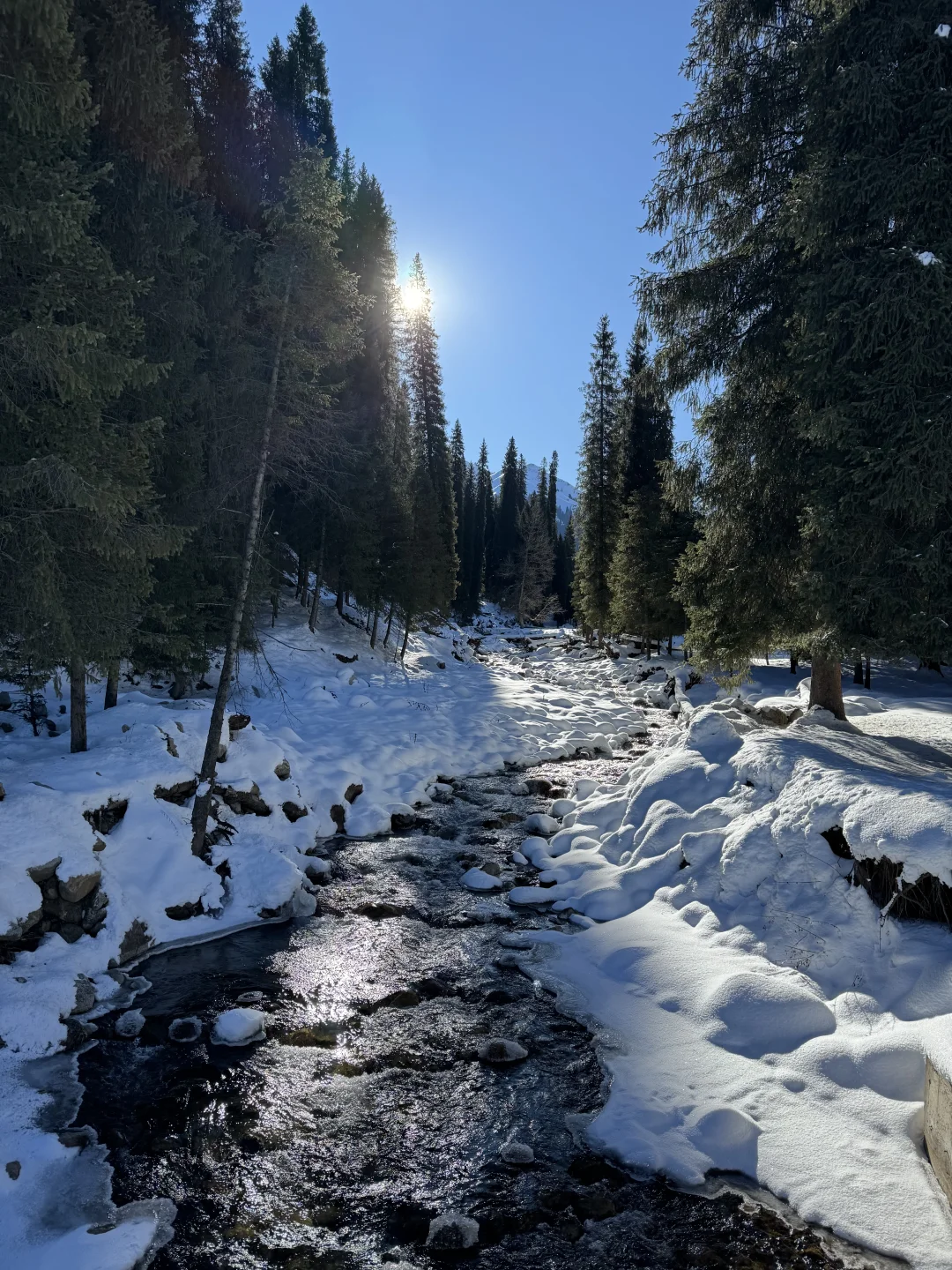 深圳打工人周末去赛里木湖+库尔德宁+八卦城