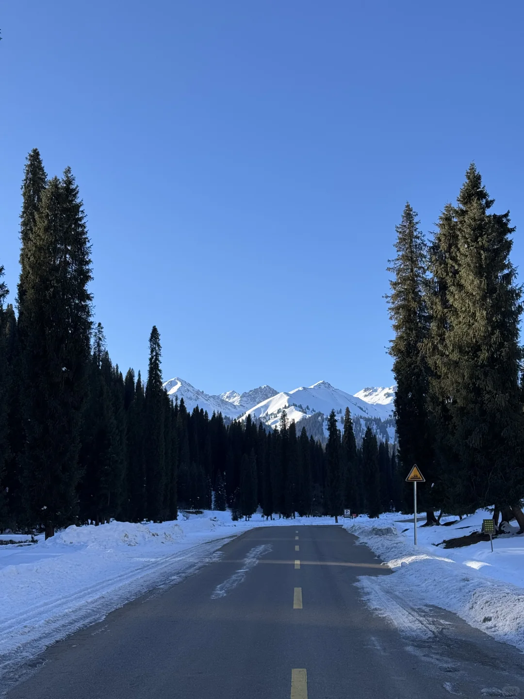 深圳打工人周末去赛里木湖+库尔德宁+八卦城