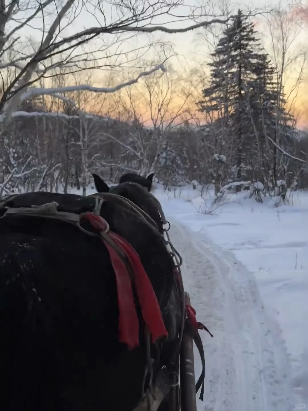 不是长白山去不起，而是伊春更有性价比