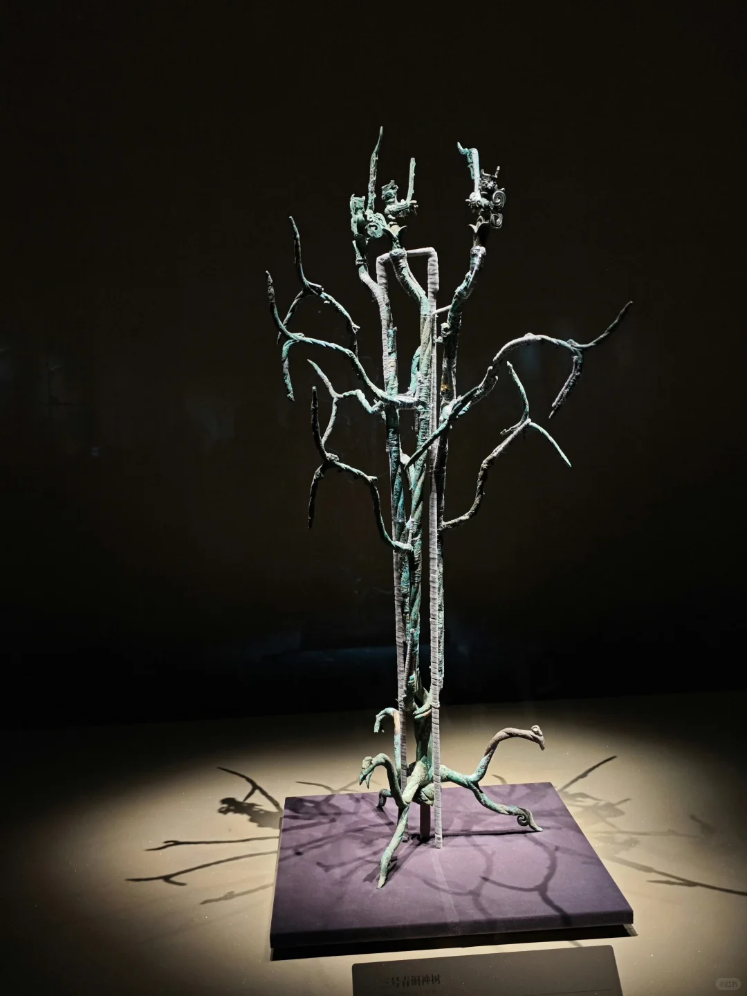 成都包车党狂喜❗️三星堆+都江堰1日游