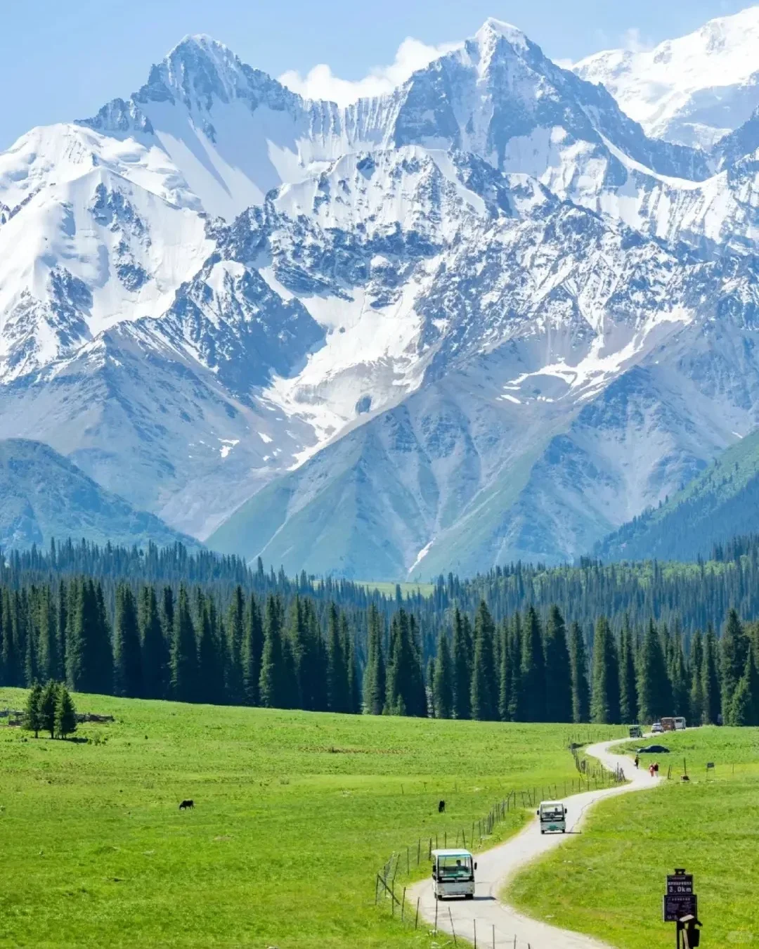 5-8月去伊犁玩了8天，消费观真的崩塌了……