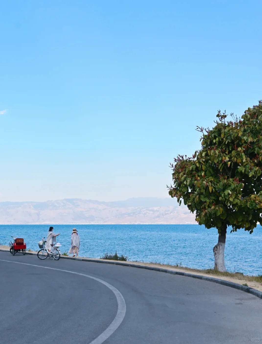 国庆大理一日游攻略 不超1百玩一天‼️