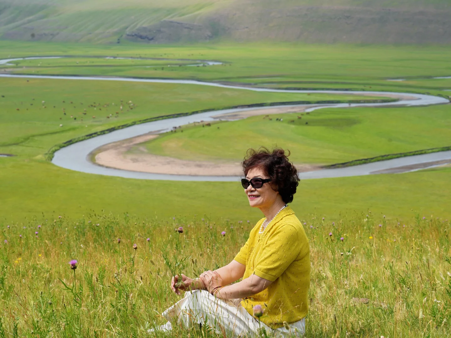 退休后的一次远行，到了梦中的草原