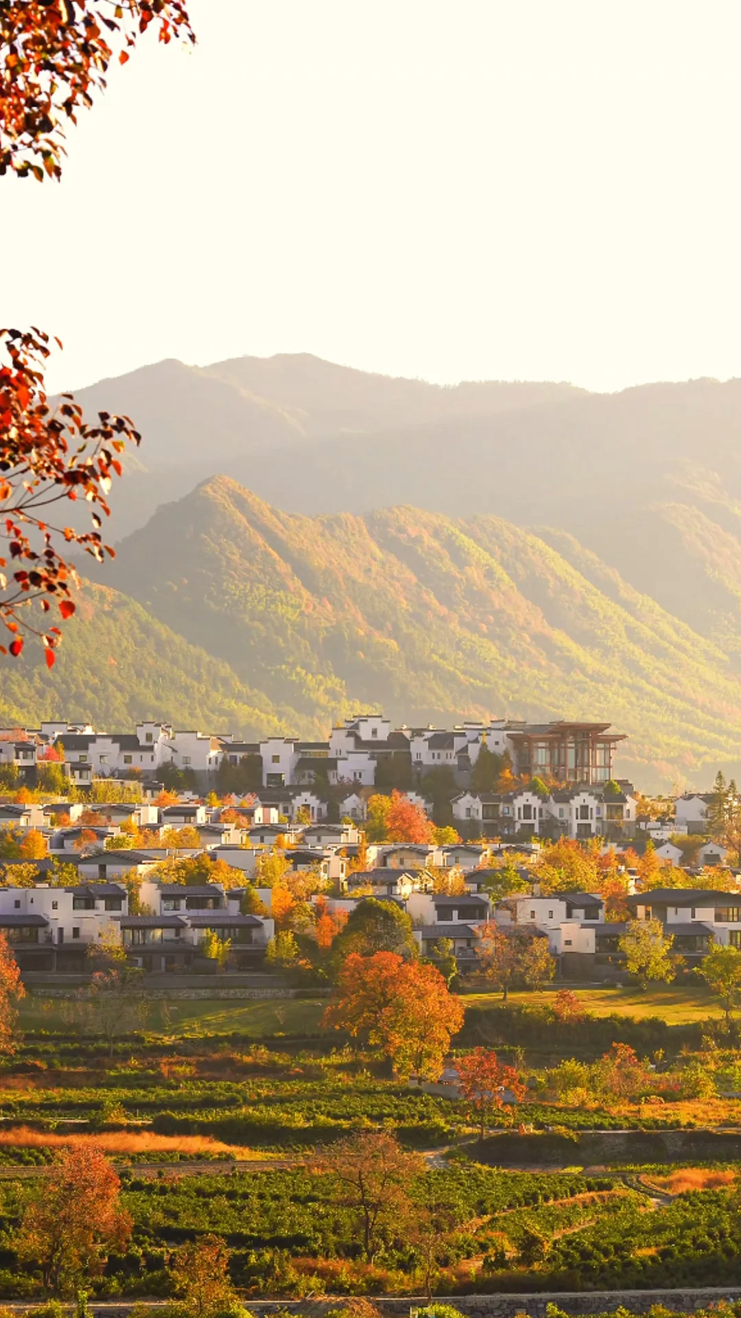 黄山之行｜感觉自己是天生的旅游圣体✨