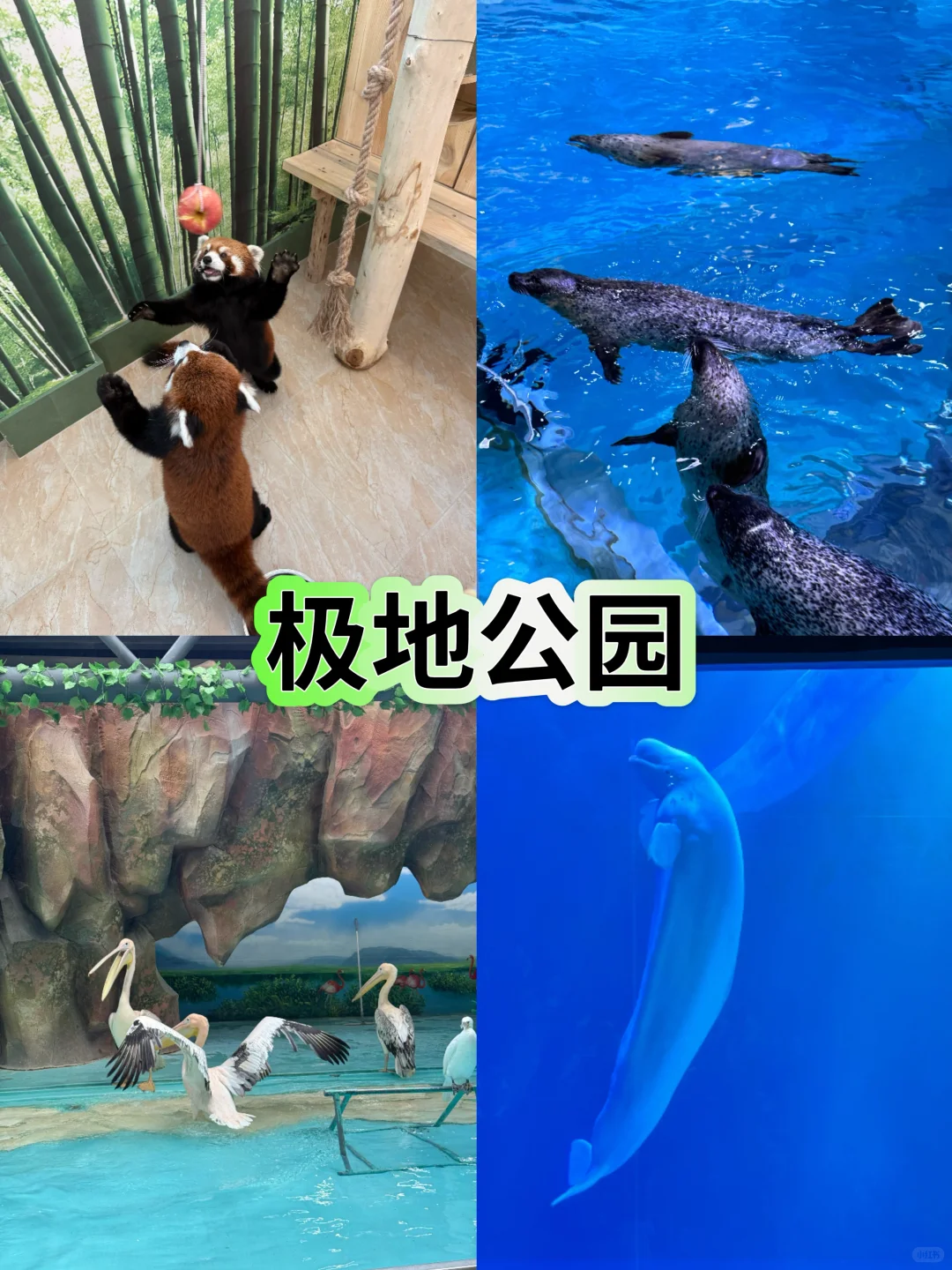 哈尔滨懒人必玩攻略·打卡不绕路