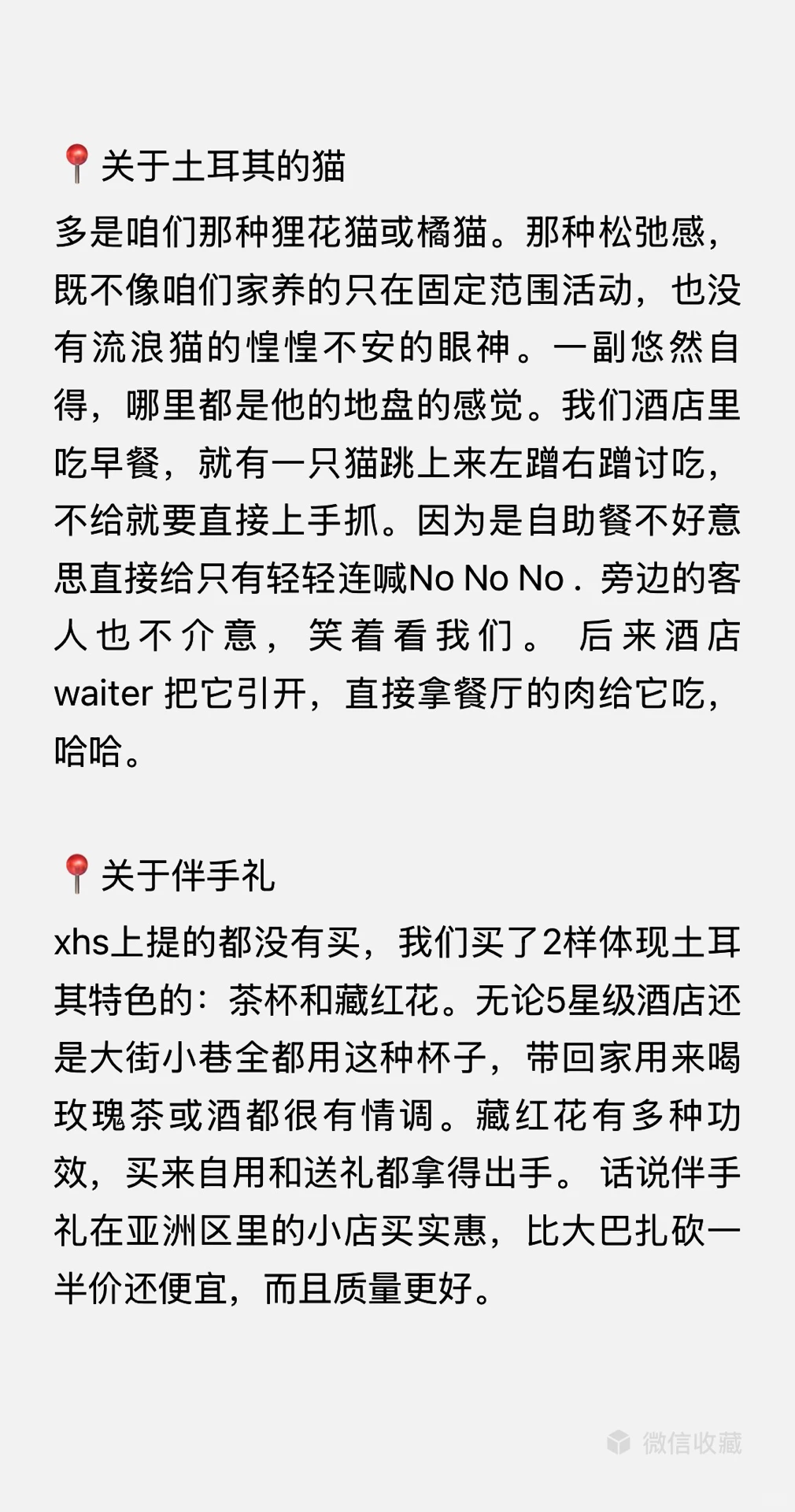 10月份的伊斯坦布尔游后感