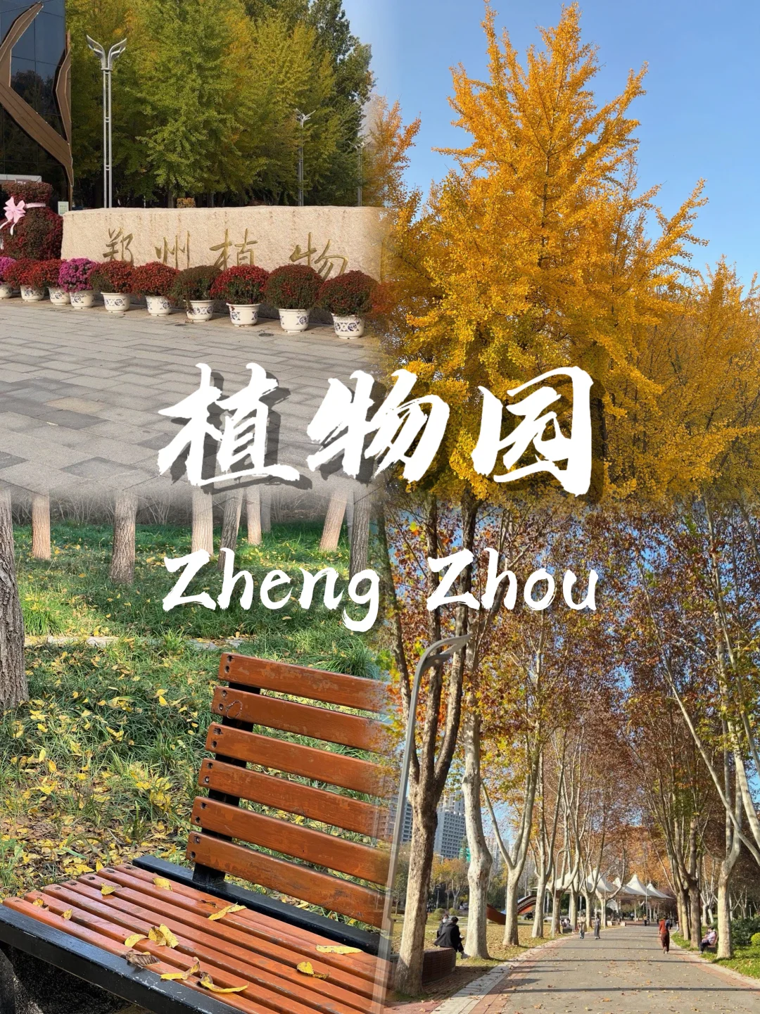 郑州 9 大必玩景点🔥旅游不踩雷✅