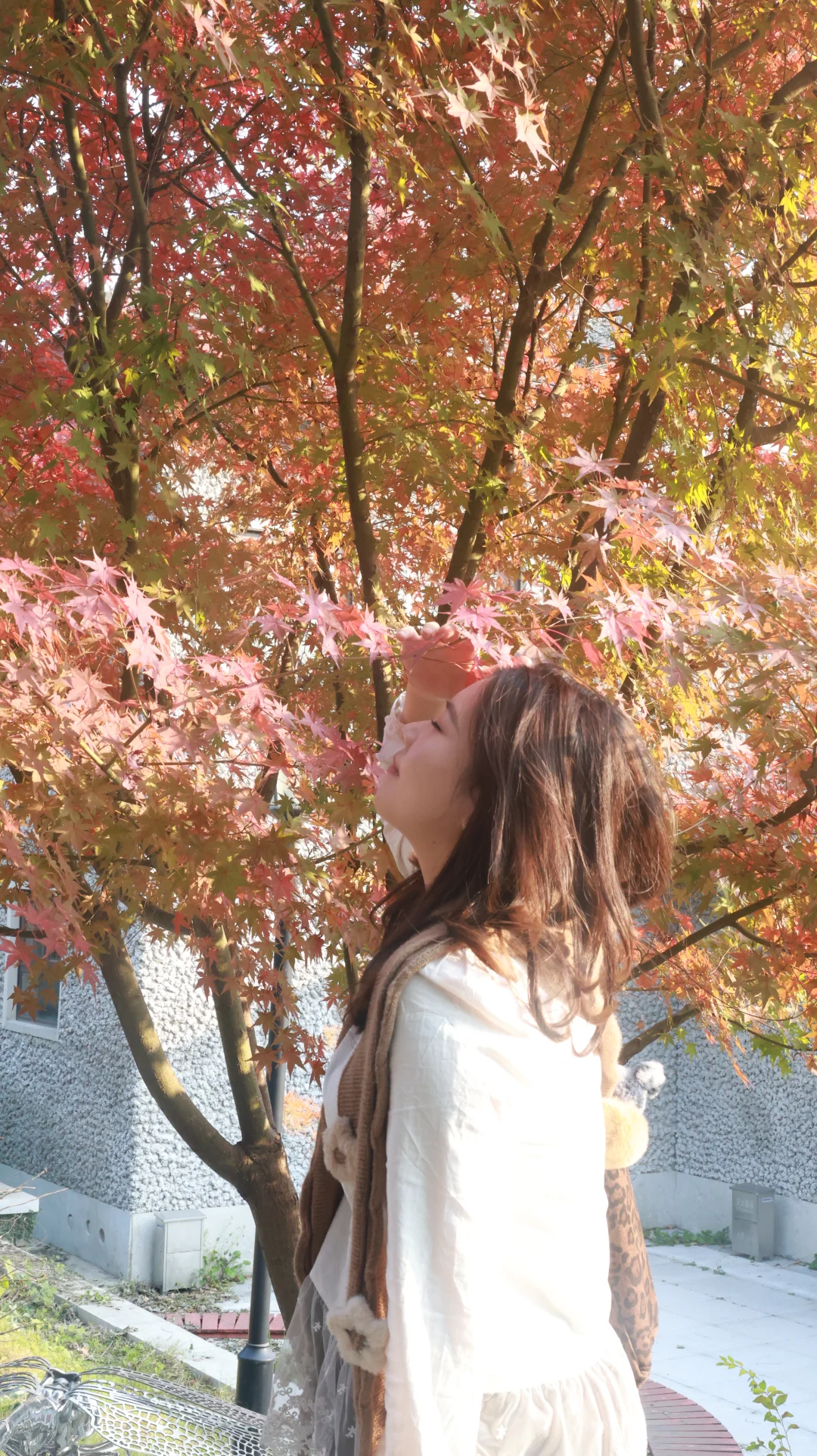 东湖落雁景区也太好出片了！