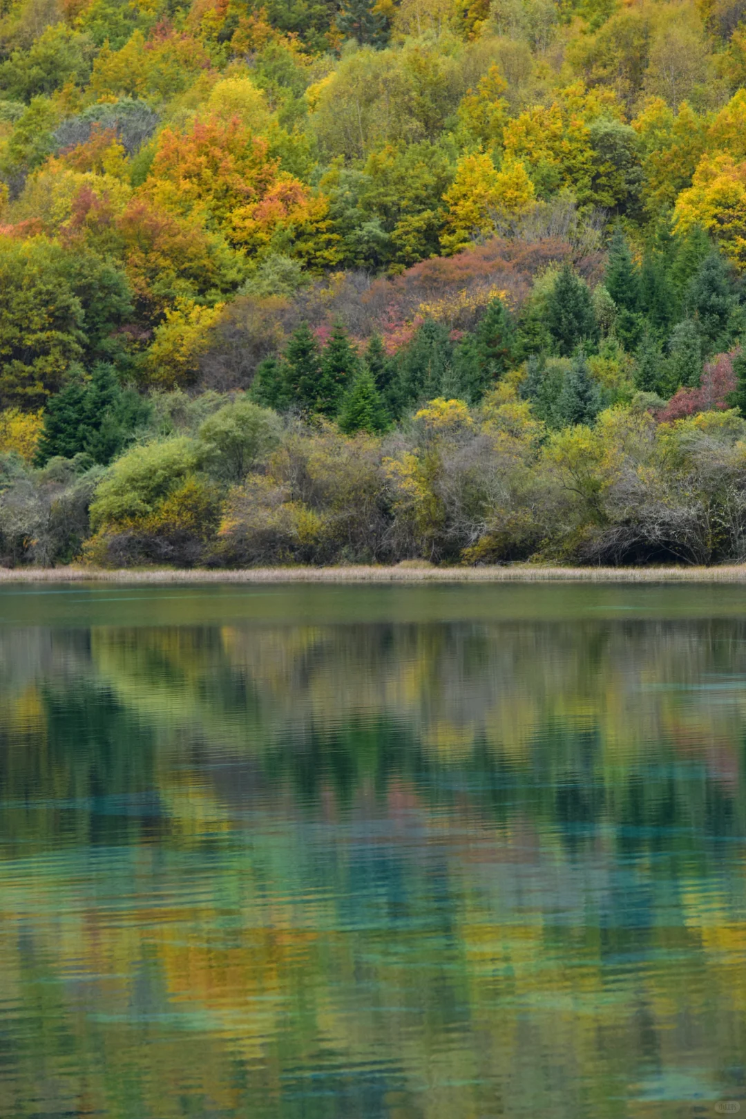 九寨沟特种兵旅游攻略