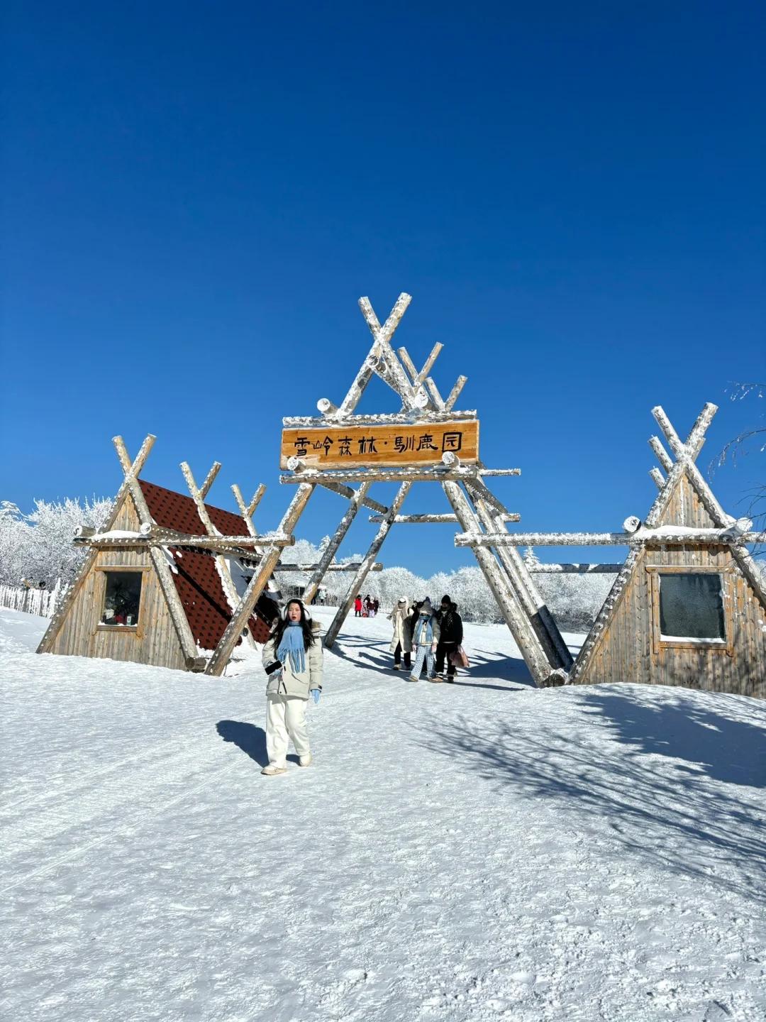 2.9📍雪岭驯鹿园 美晕❄️