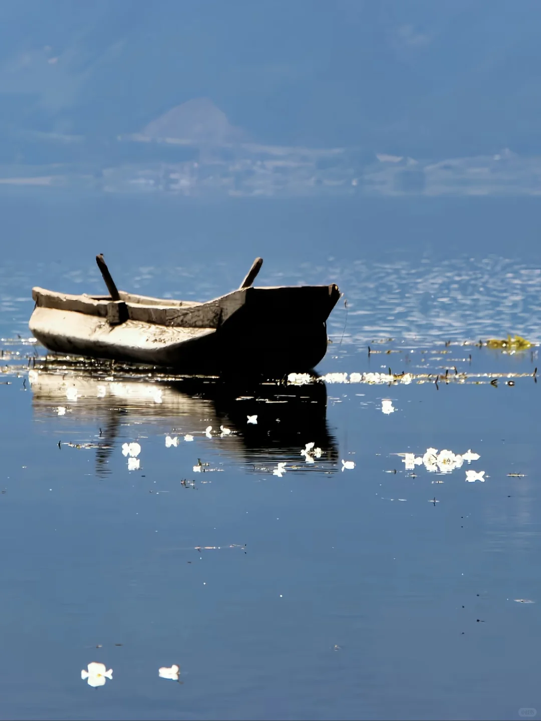 🌟再不来泸沽湖 错过又要等一年｜人均100