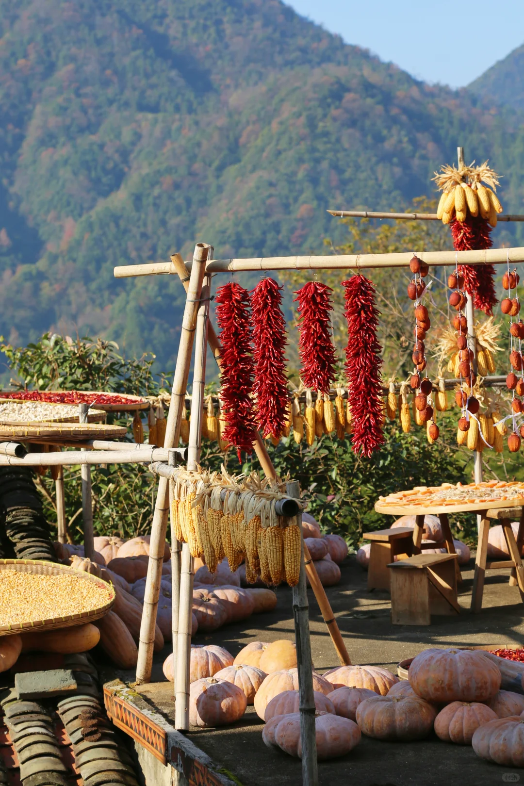 听劝！本地人强推12月来婺源篁岭！