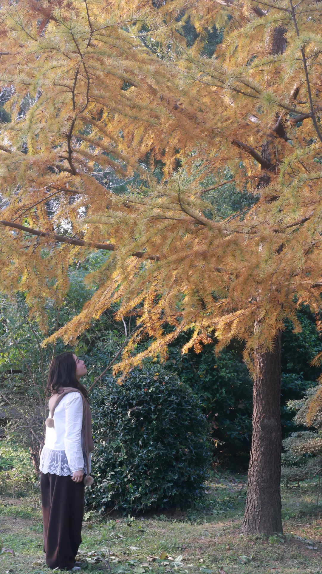 东湖落雁景区也太好出片了！