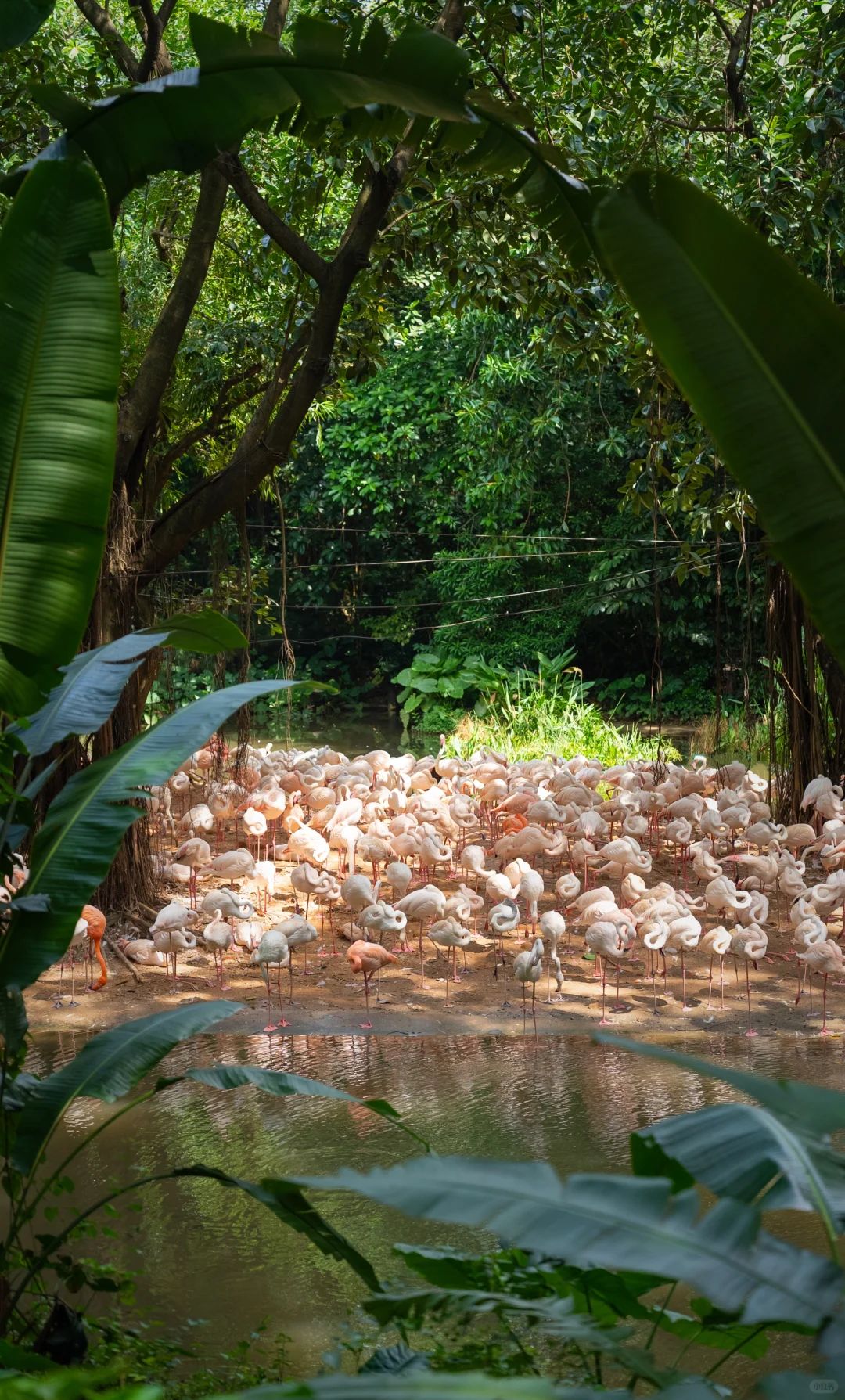 12月很适合去的旅行目的地推荐🌲