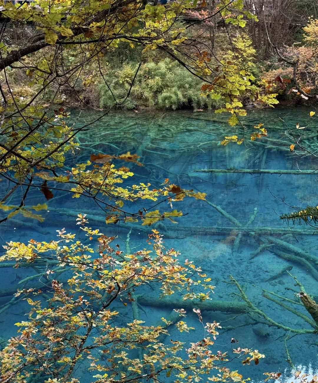 九寨沟特种兵旅游攻略