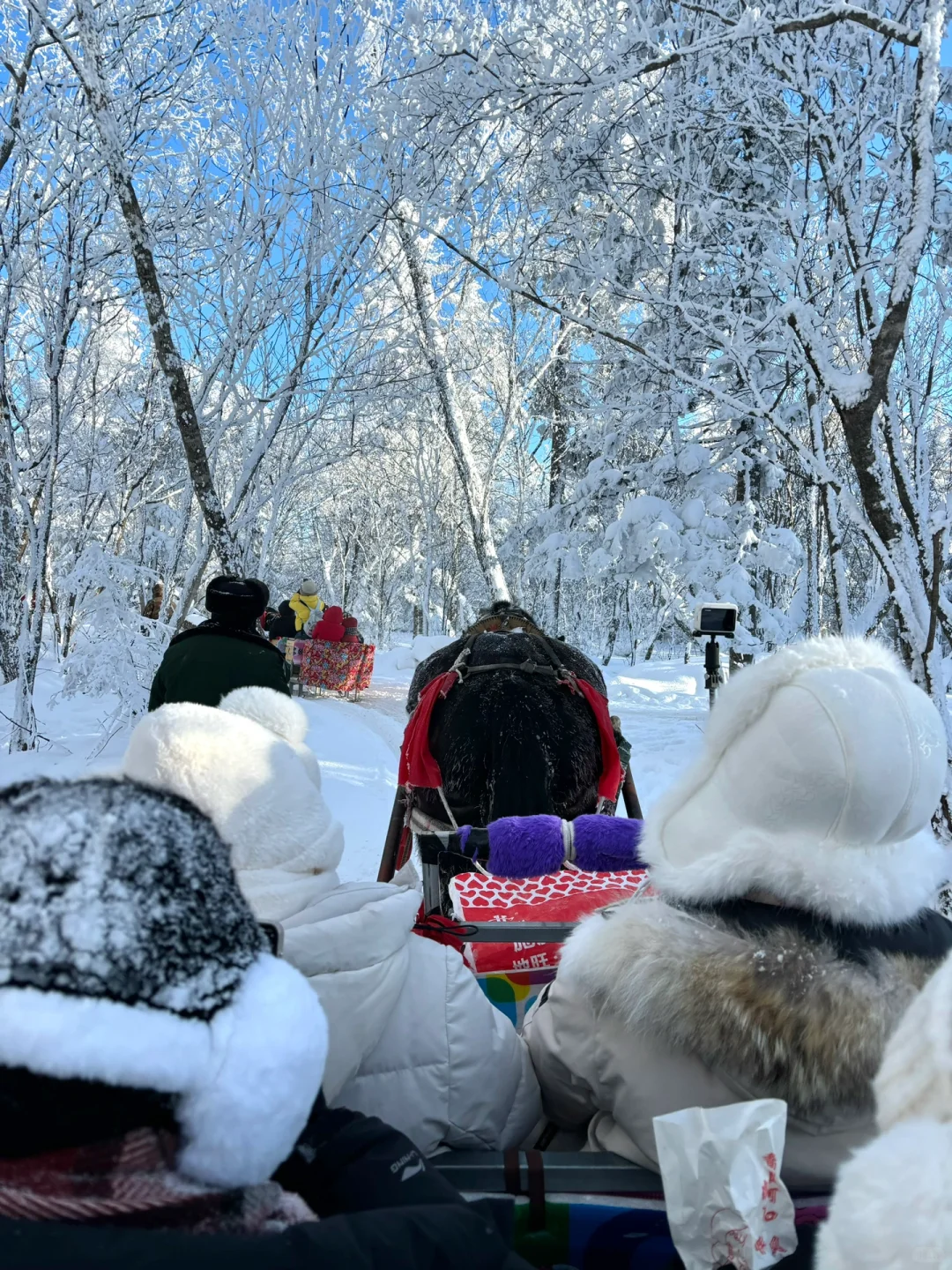 2.9📍雪岭驯鹿园 美晕❄️