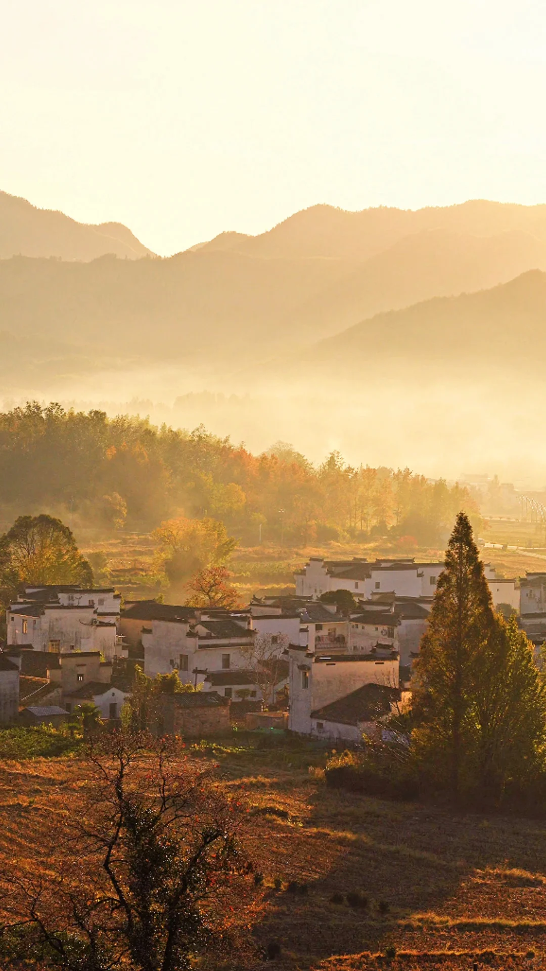 黄山之行｜感觉自己是天生的旅游圣体✨
