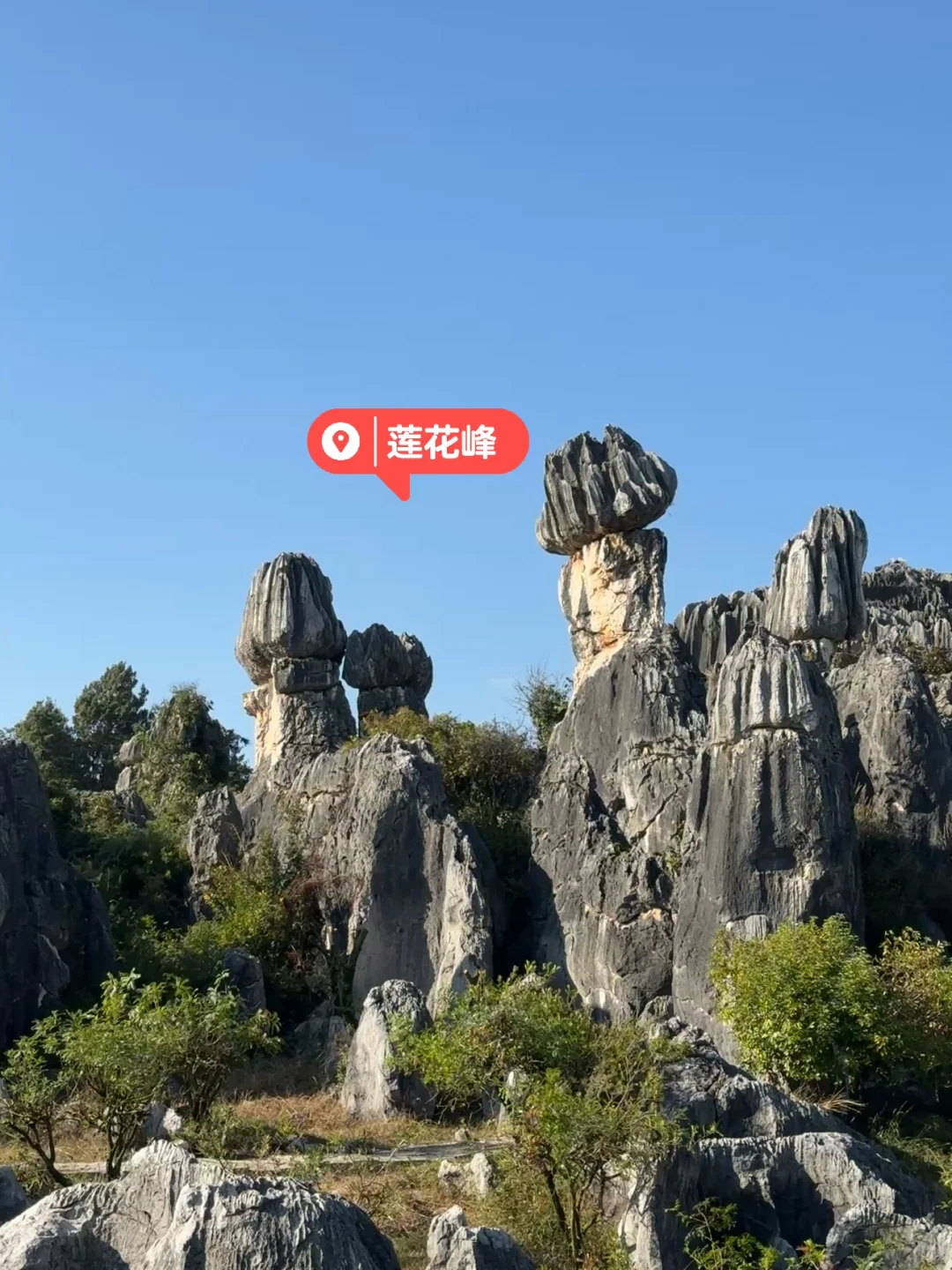 昆明|石林📍 钻进亿年石头缝里探险也太酷了