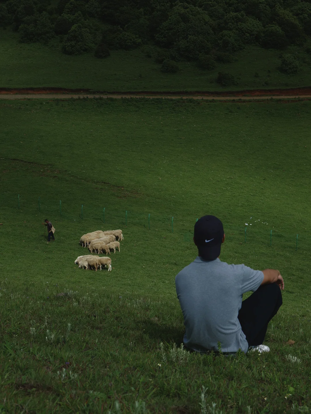 旅居大理一年，汇总出的一些好看的拍照地