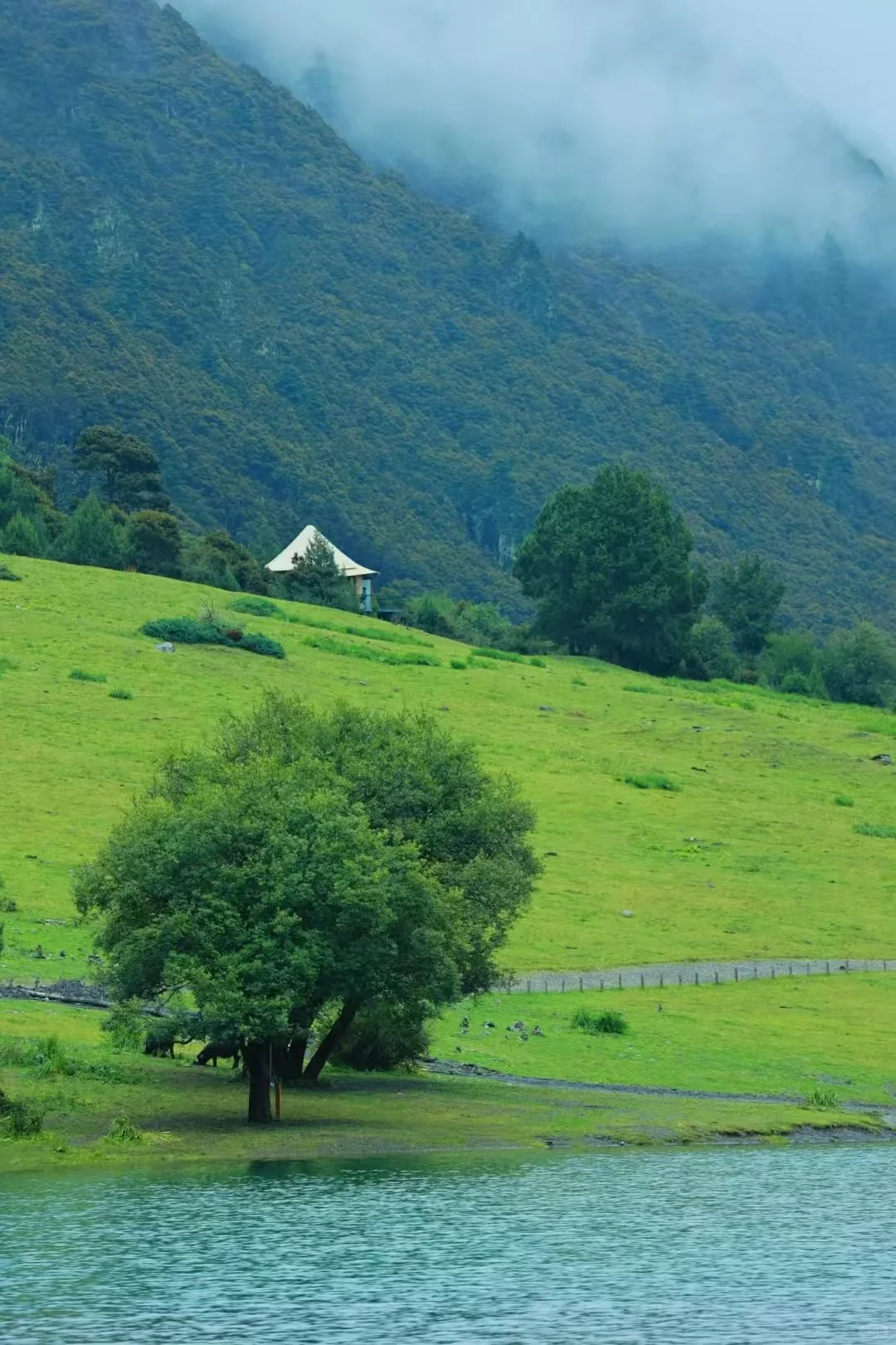 本以为泸沽湖就够美了!直到我去了这里……