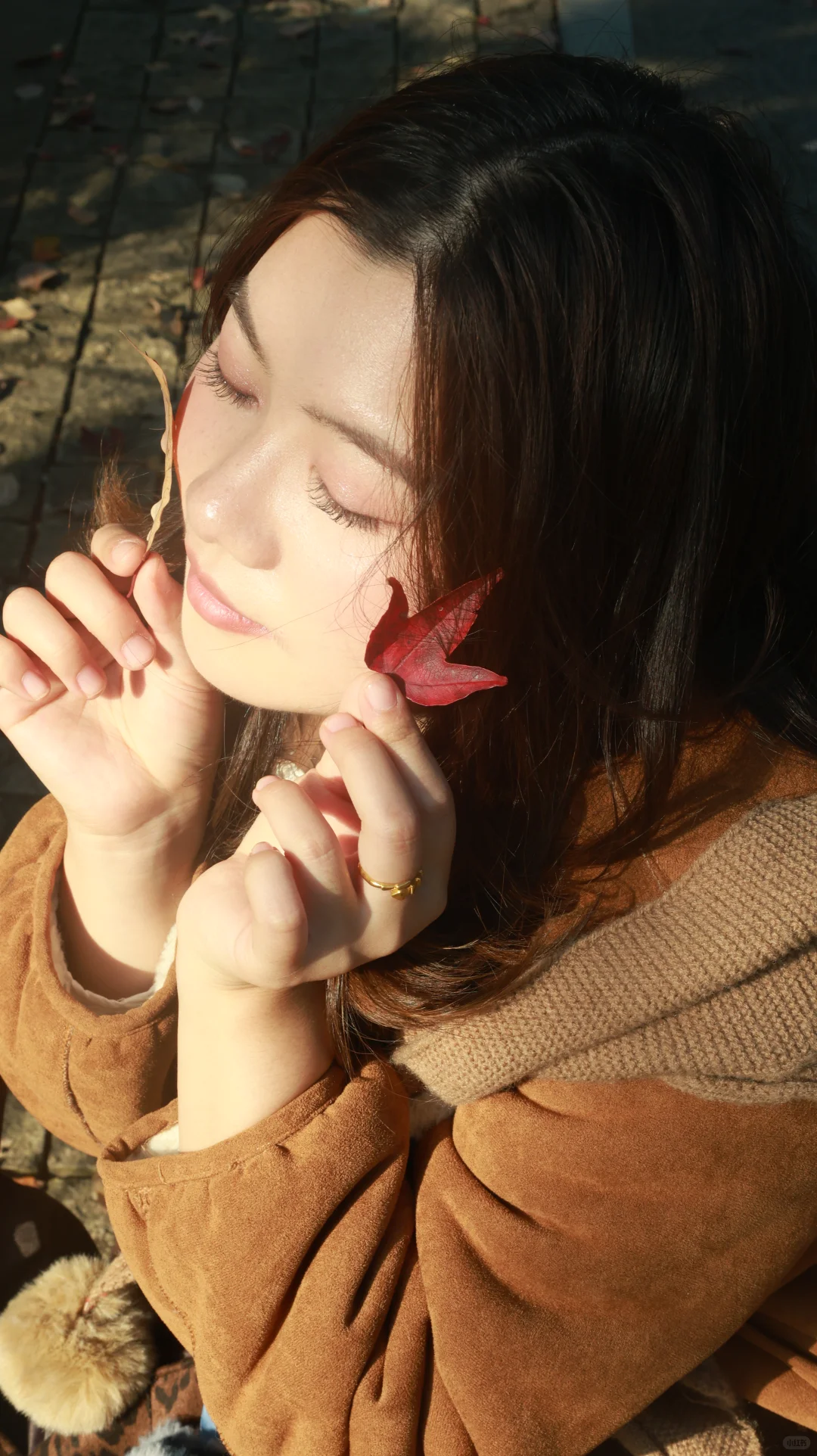 东湖落雁景区也太好出片了！