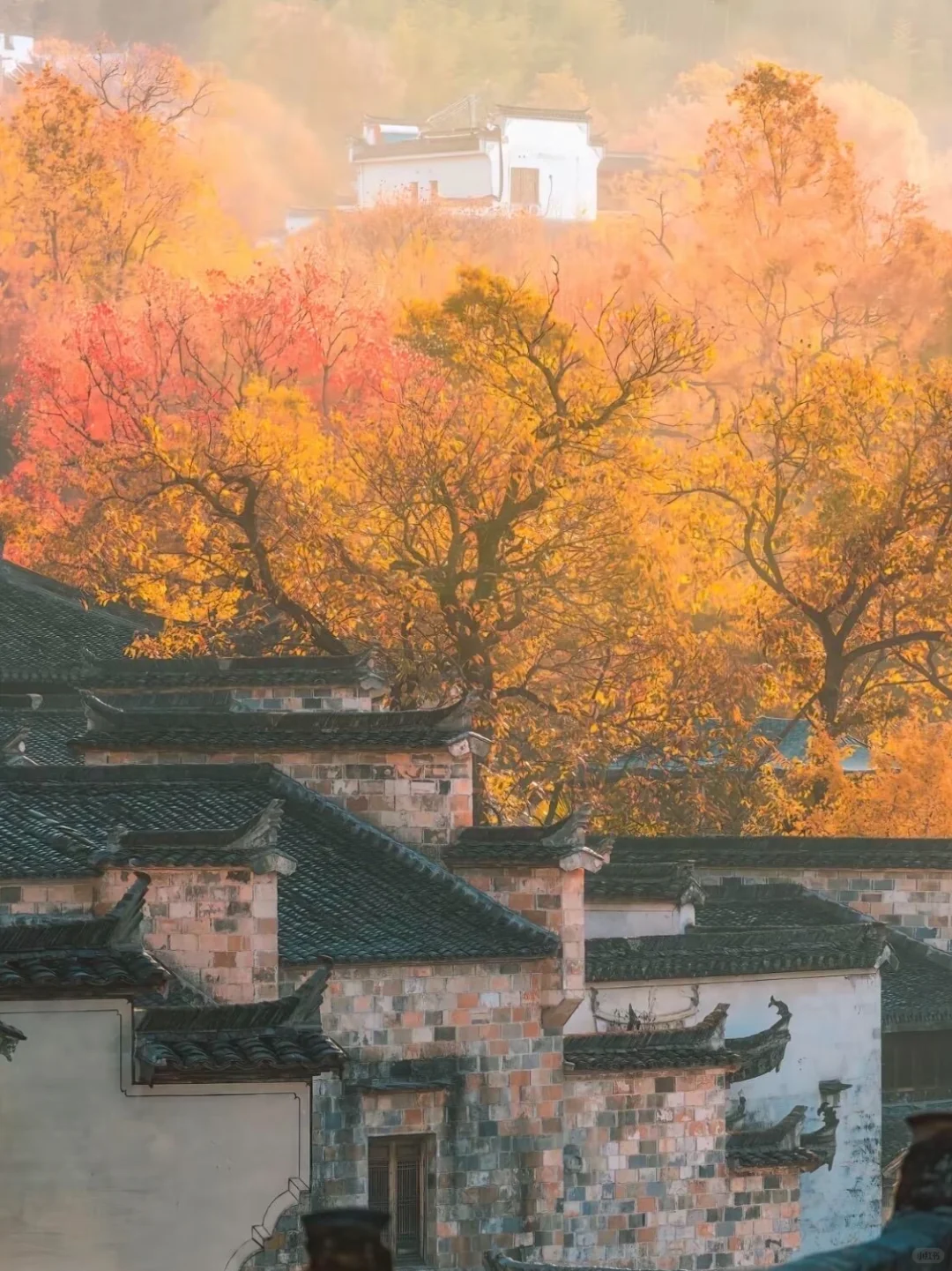 今年寒假，我只带娃去一个地方：徽州！🤩