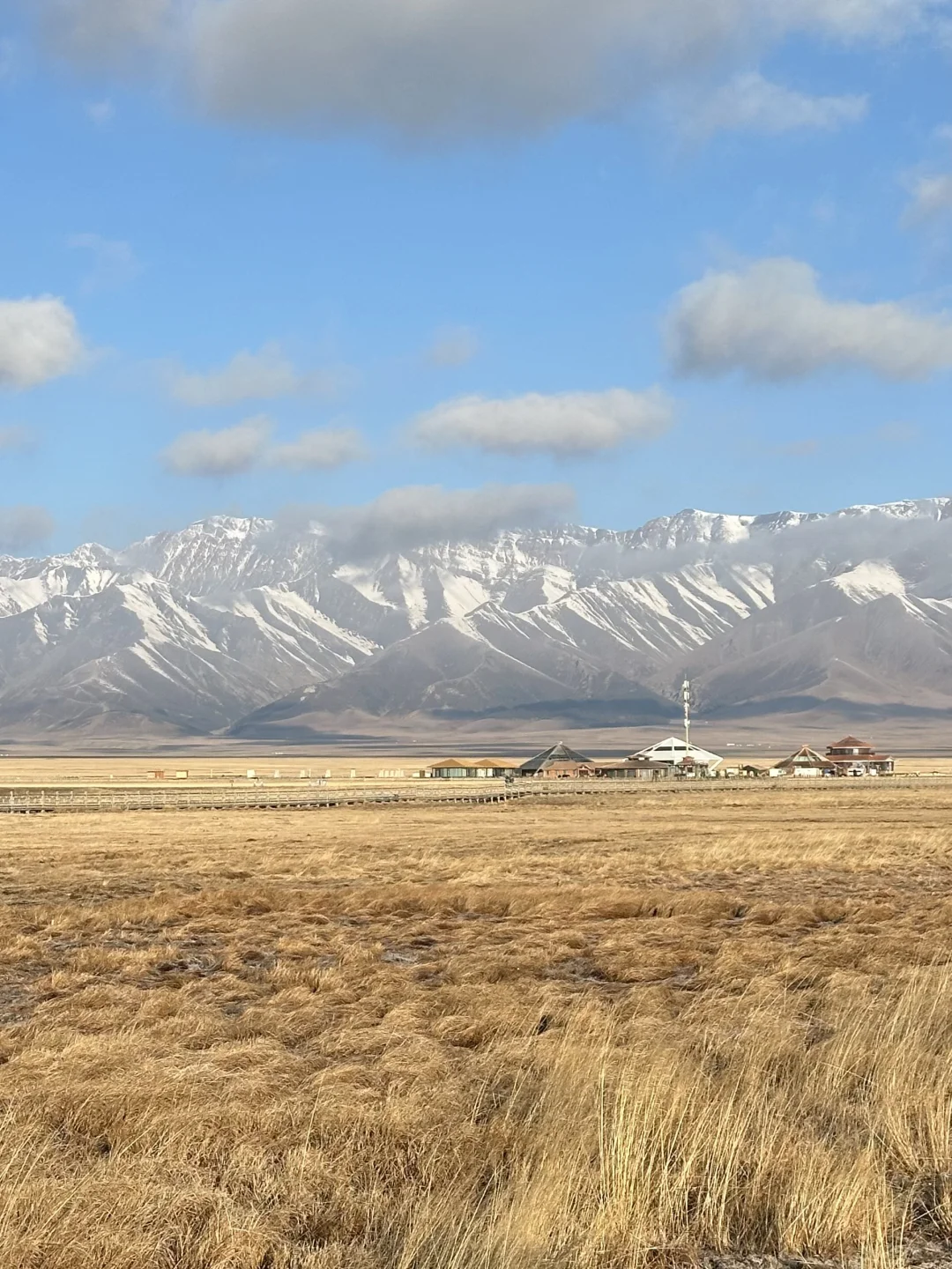 天津大学生周末不请假两天极限往返赛里木湖