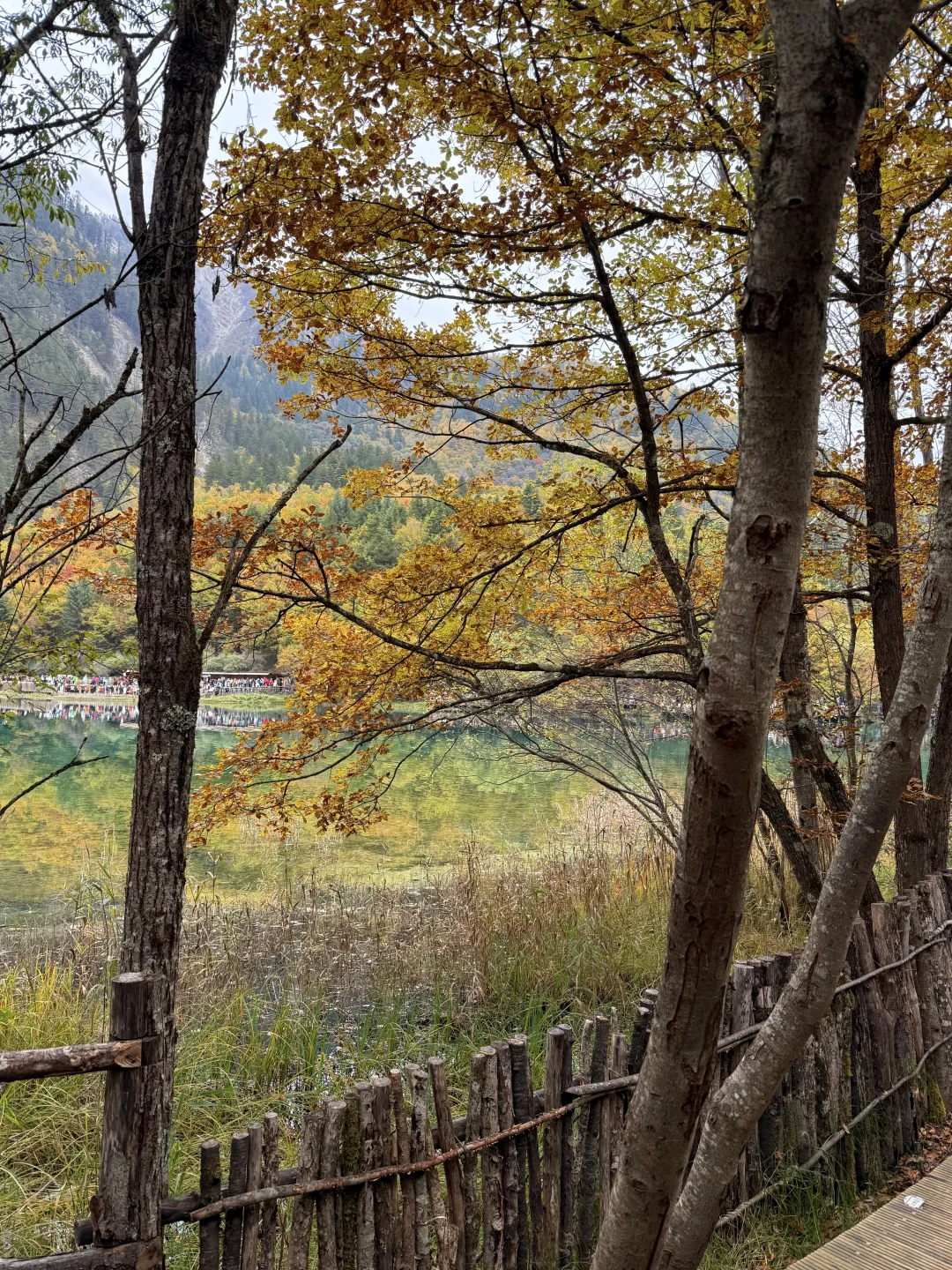 九寨沟特种兵旅游攻略