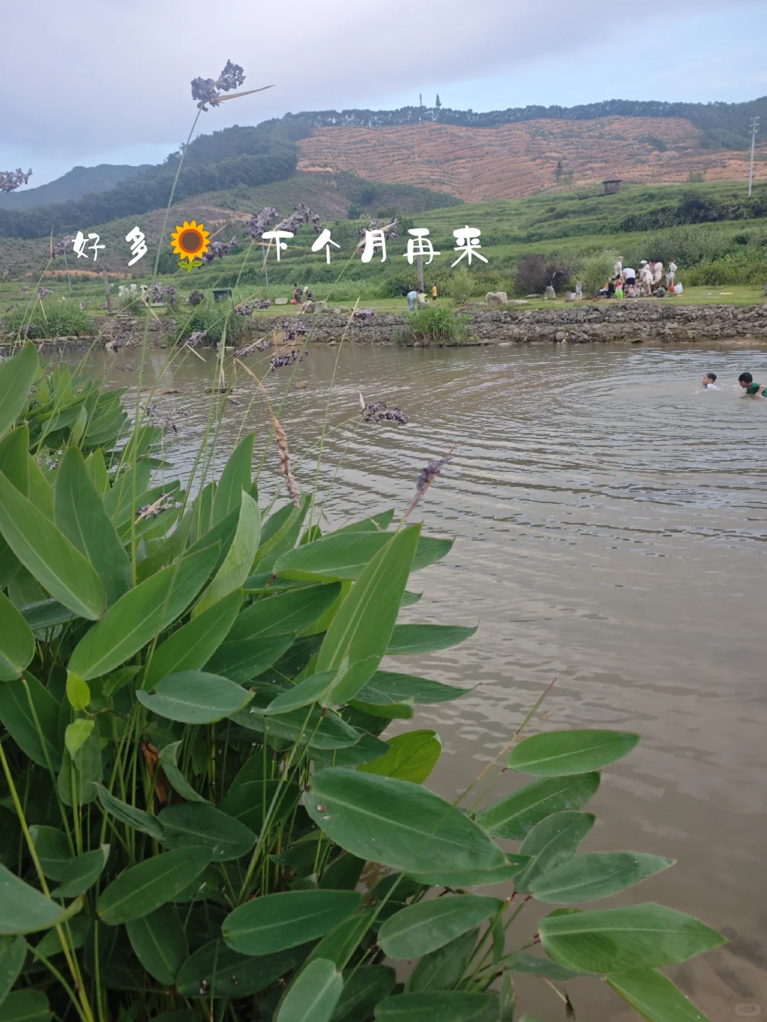 佛山遛娃*下午露营🏕️有娃家庭高明之选