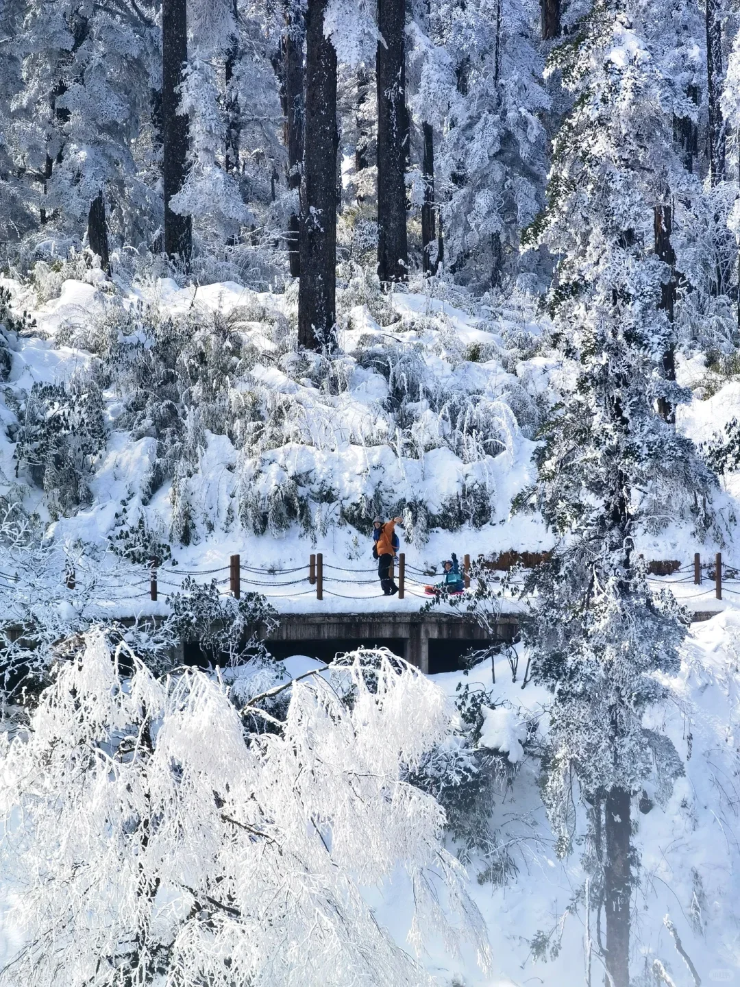 不用去川西也能玩雪！