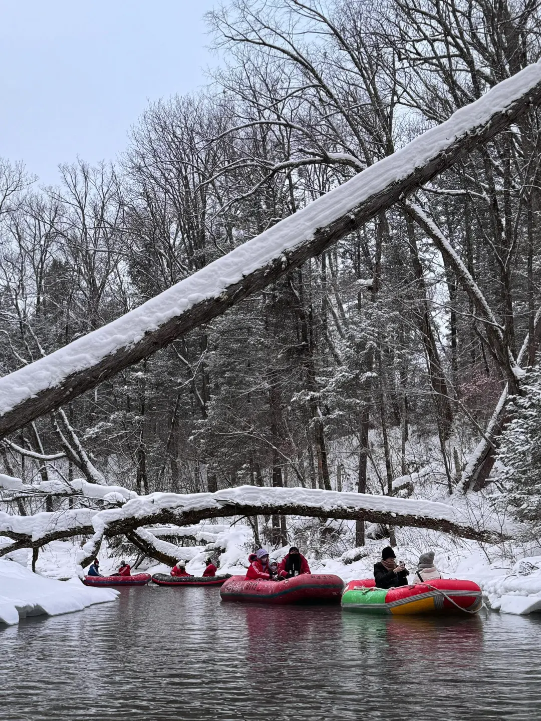 听劝 长白山雾凇漂流现状……