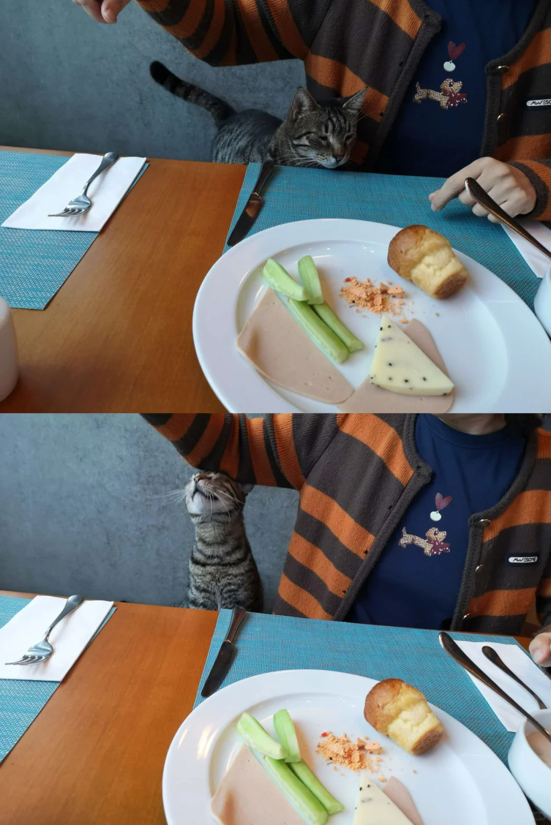 10月份的伊斯坦布尔游后感