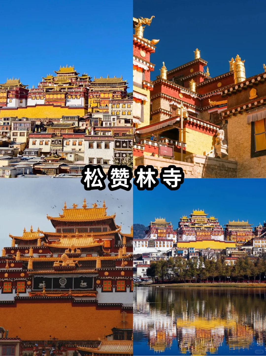 香格里拉精华一日游 一天打卡5大景点🔥