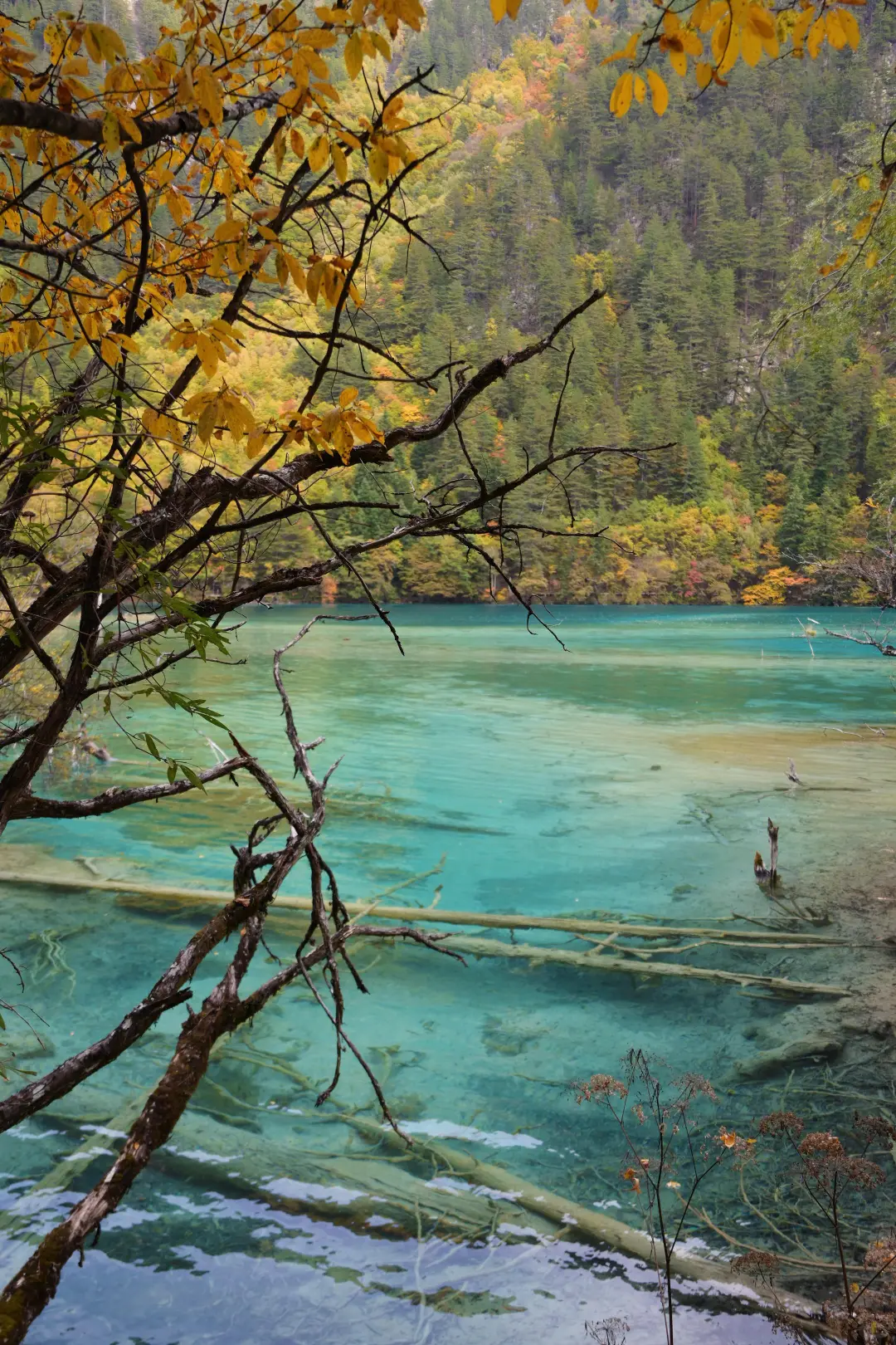 九寨沟特种兵旅游攻略