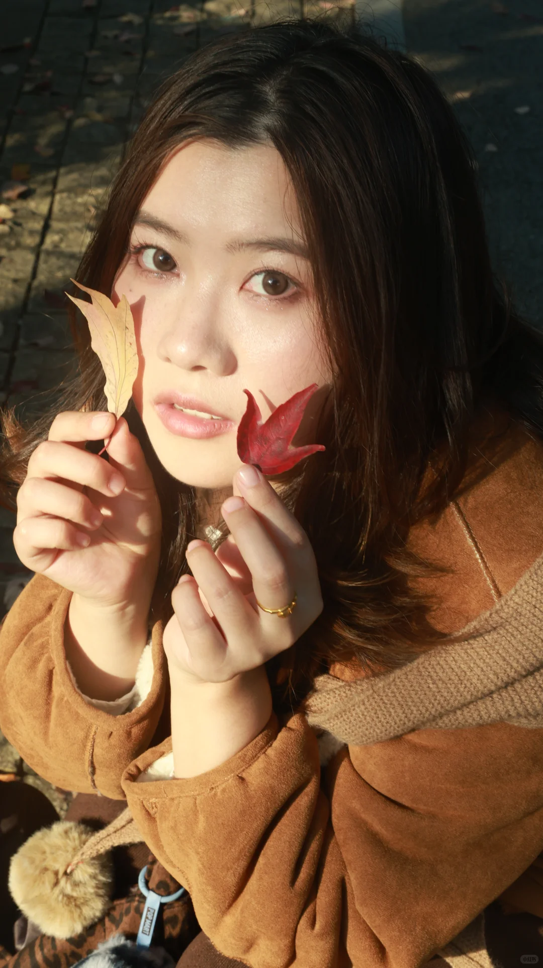 东湖落雁景区也太好出片了！