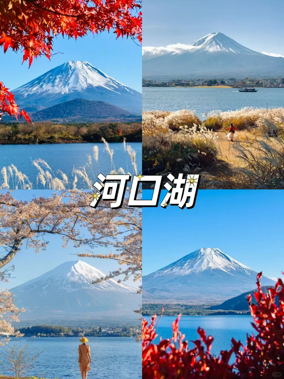 富士山🗻包车一日游攻略，快码住✅