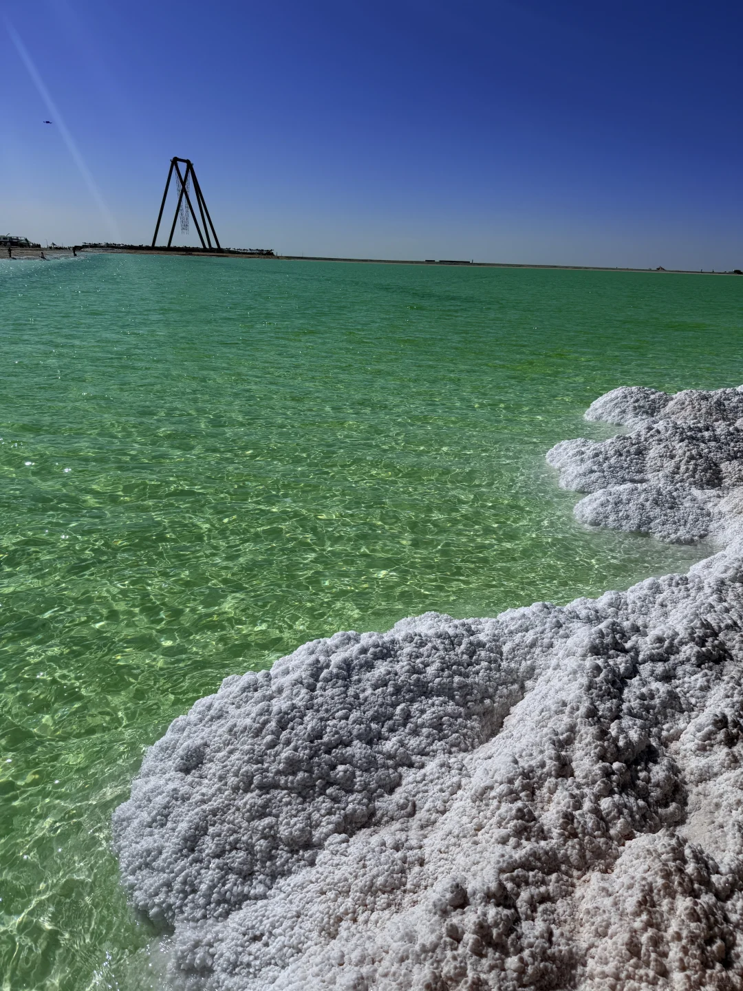 察尔汗盐湖 请你喝 冰萃青提 🧊