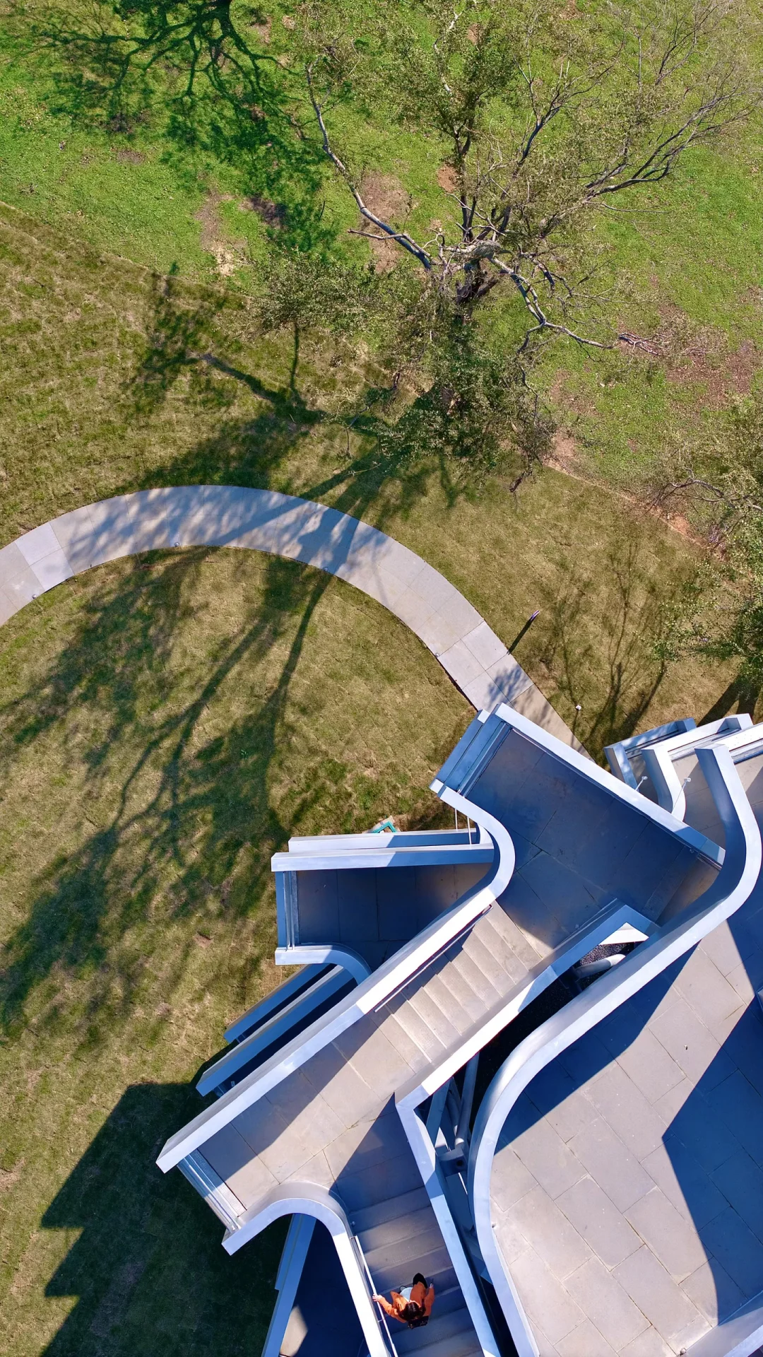 在武汉蔡甸找到了鹿客岛的平替，乌桕树已红