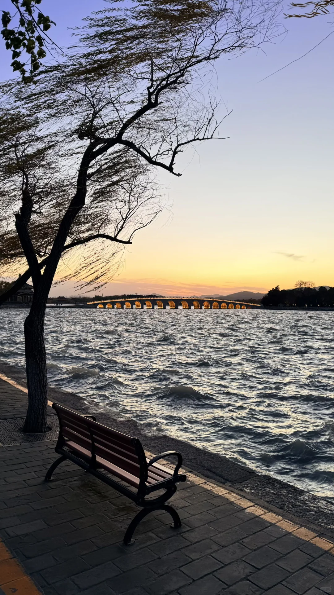 11.16的颐和园！美绝了