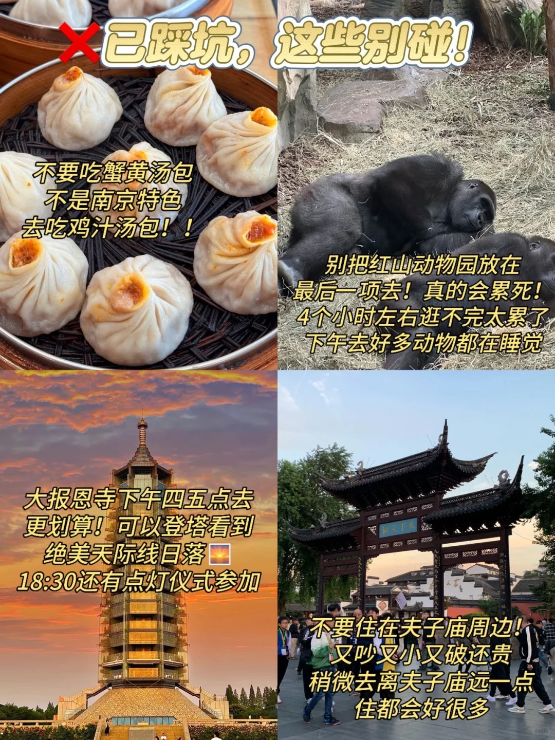 11.25南京现状！冷到崩溃🥶打算来的速看