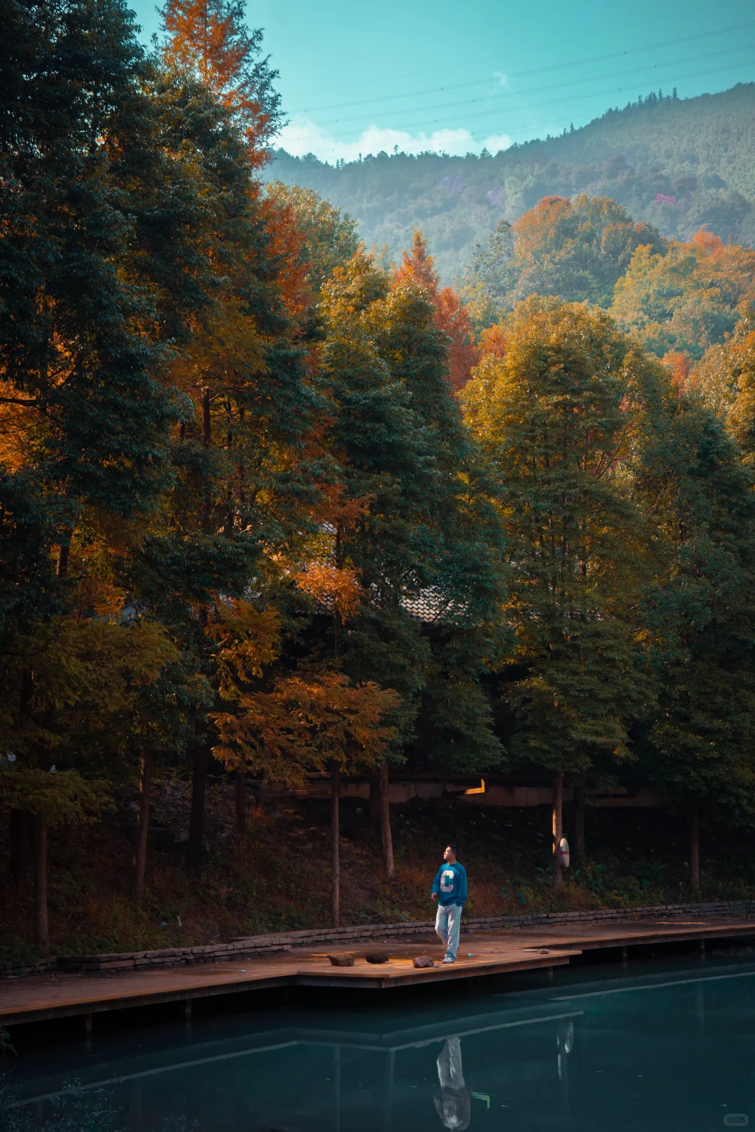 🍂北碚这条免费小众路线藏了整个秋天！