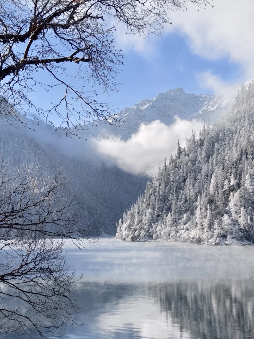 九寨沟冬季超全时间表❄️看完少走冤枉路😭