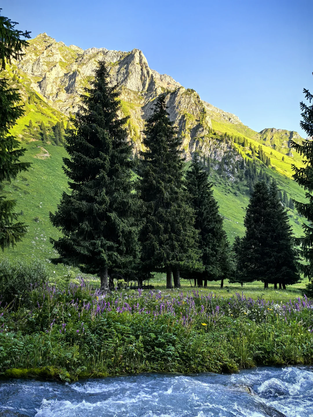 百里画廊-孟克特古道：遗落天山的荒野诗行
