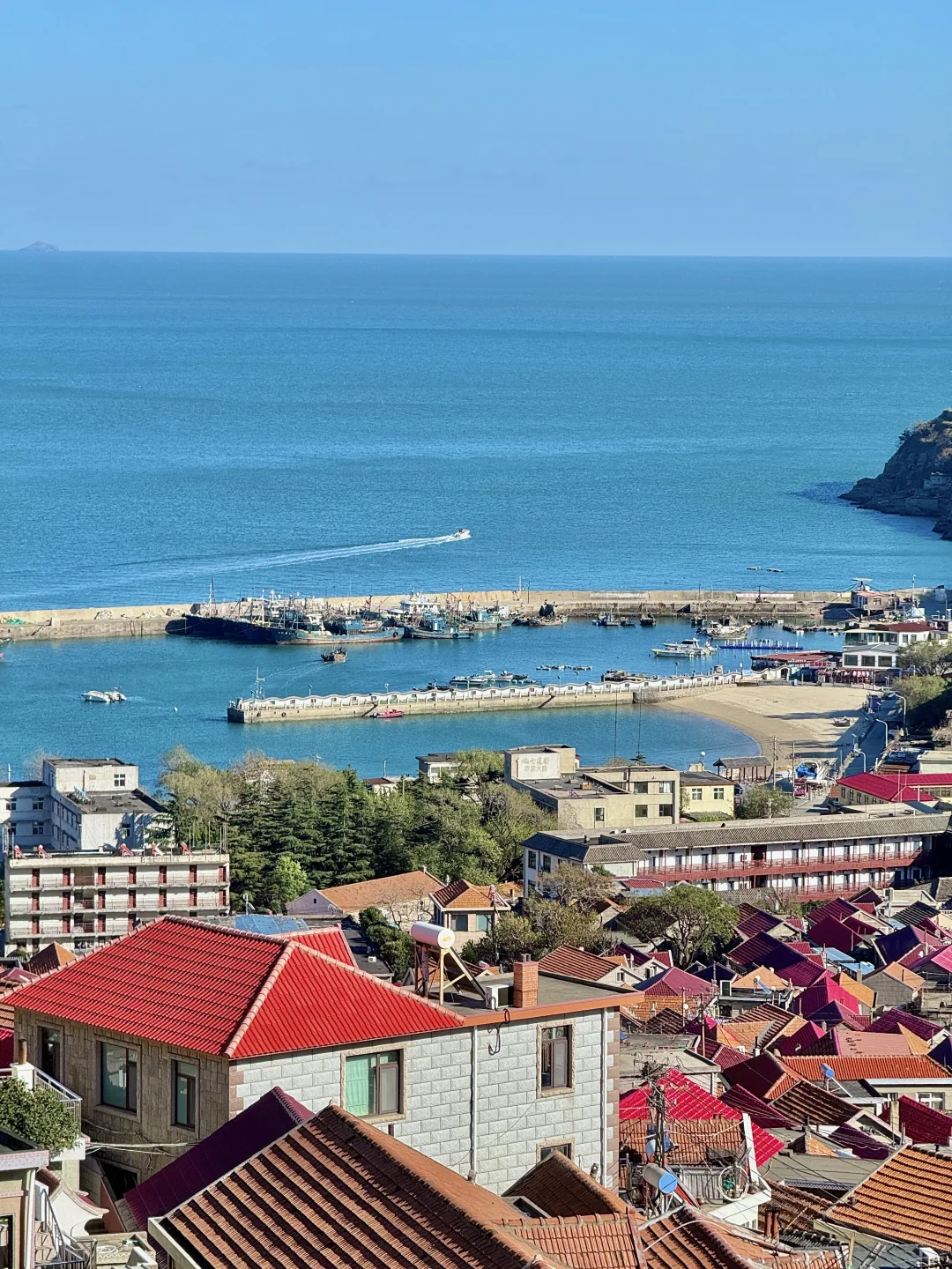 人生建议：去青岛一定要坐次1元环海公交……